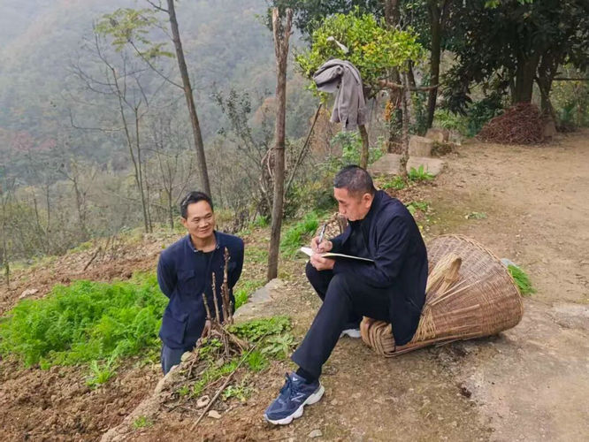 服务送上门，办事不出门！关口镇这样把温暖送到群众心坎上