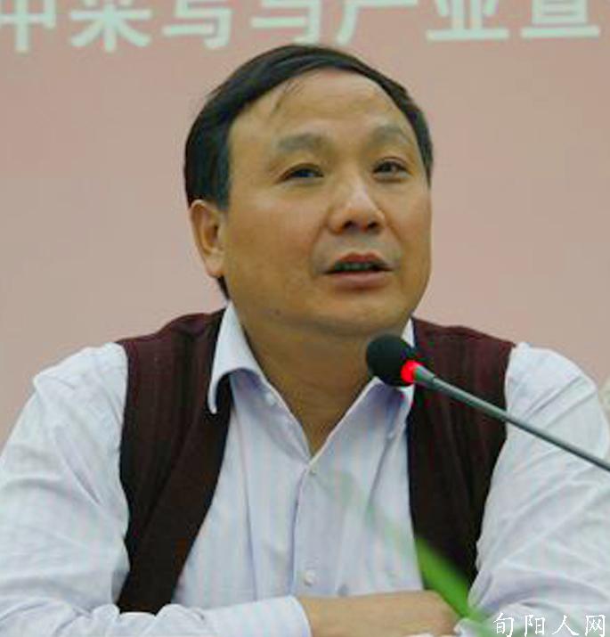 陕西作家屈善施