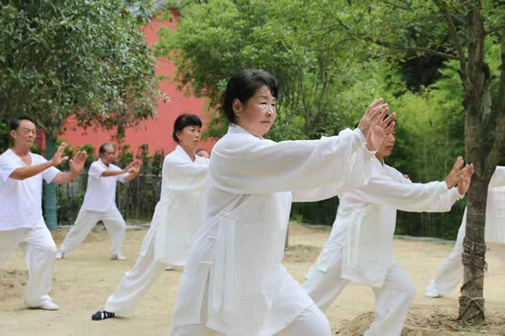2023年陕西省太极拳公开赛在旬阳市举行