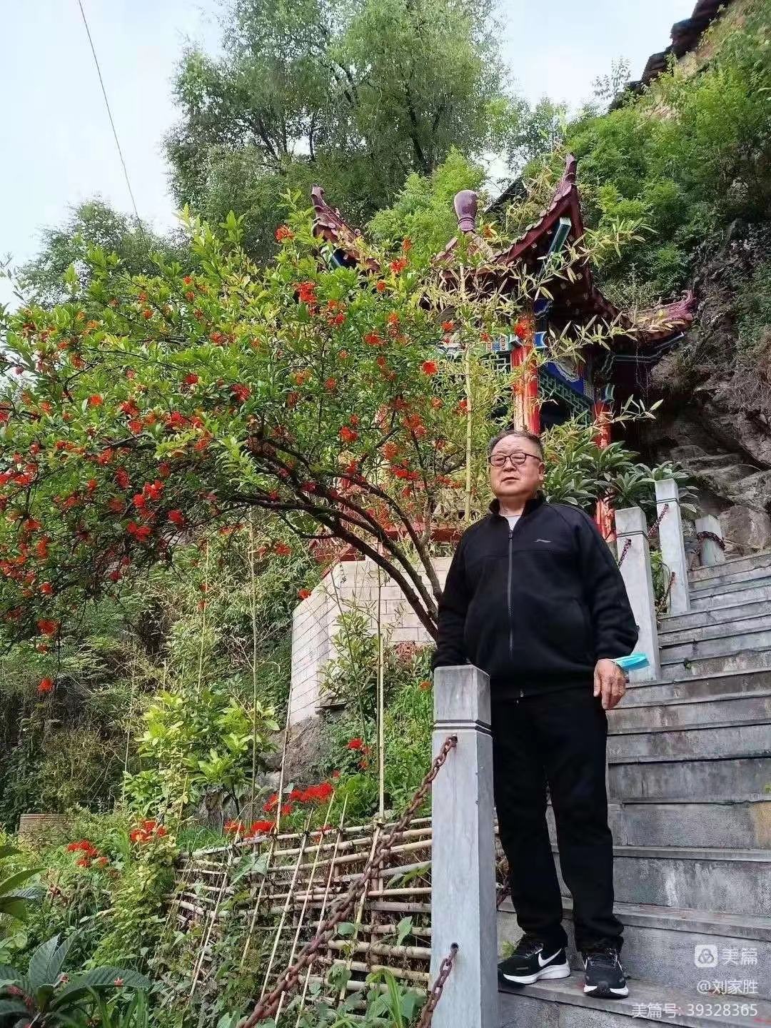 我们的文化家园                         