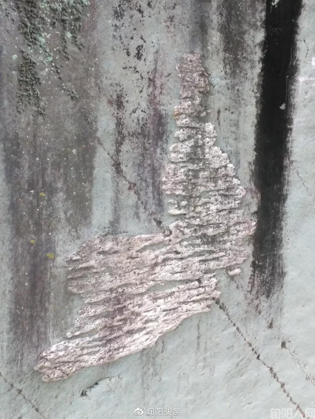 关口镇大庙村关子沟石鸭子的传说    文/石德发