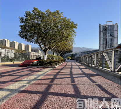 遇见阳光   期待美好   文/肖海娟