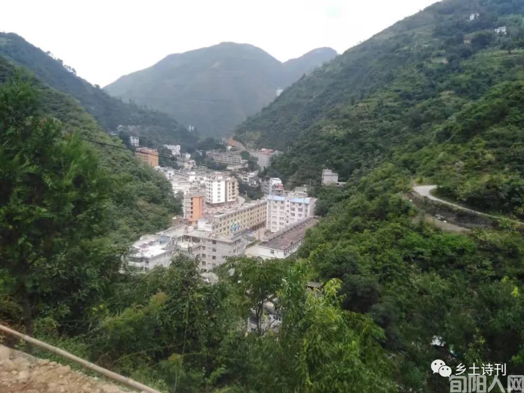 在棕溪俘获花香鸟语（组诗）  文/柯长安