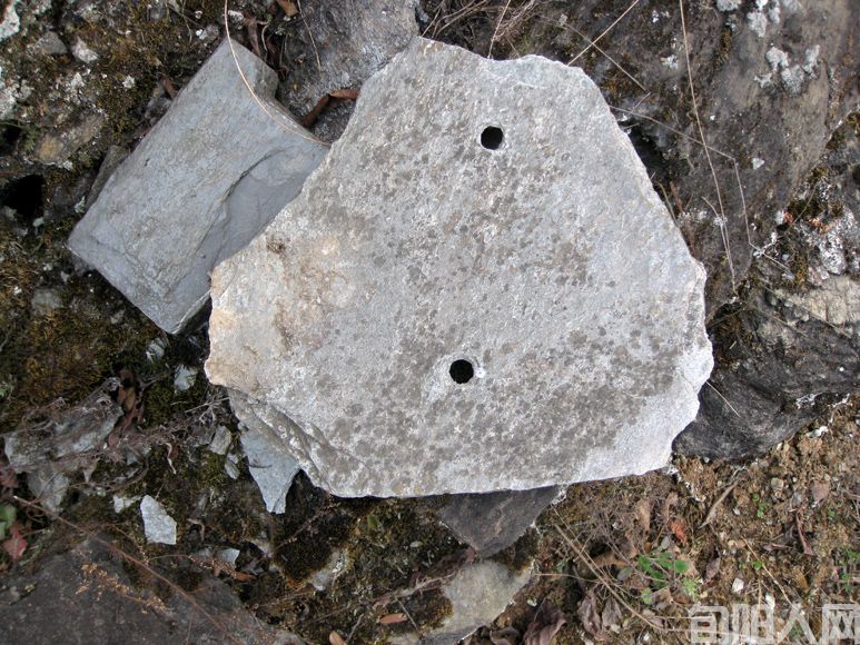 石头上莫名的孔洞.jpg