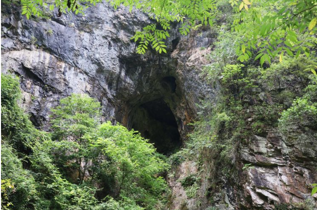 错过你的花期，邂逅你别样的美 —张坪七里峡游记 