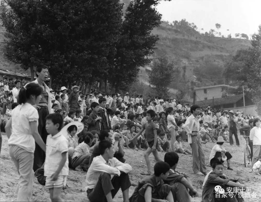 我拍龙舟三十年——吴定国(图10)