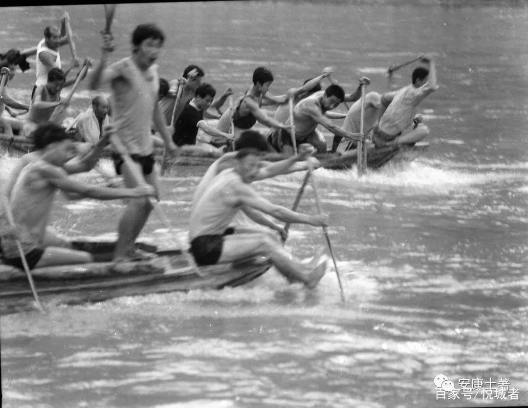 我拍龙舟三十年——吴定国(图9)