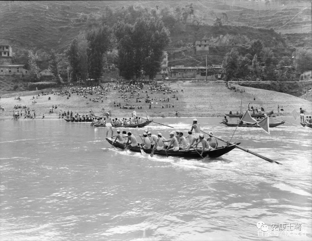 我拍龙舟三十年——吴定国(图13)