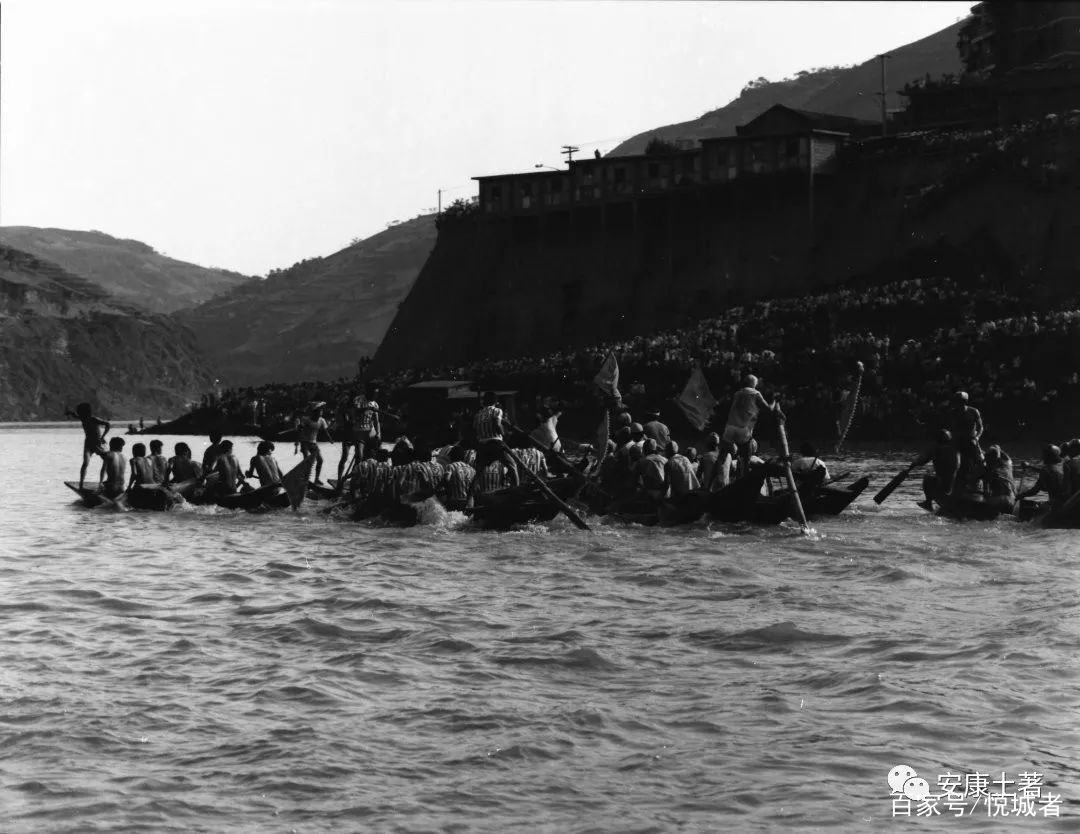 我拍龙舟三十年——吴定国(图12)