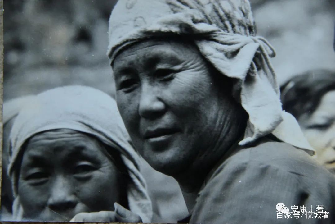 我拍龙舟三十年——吴定国(图19)