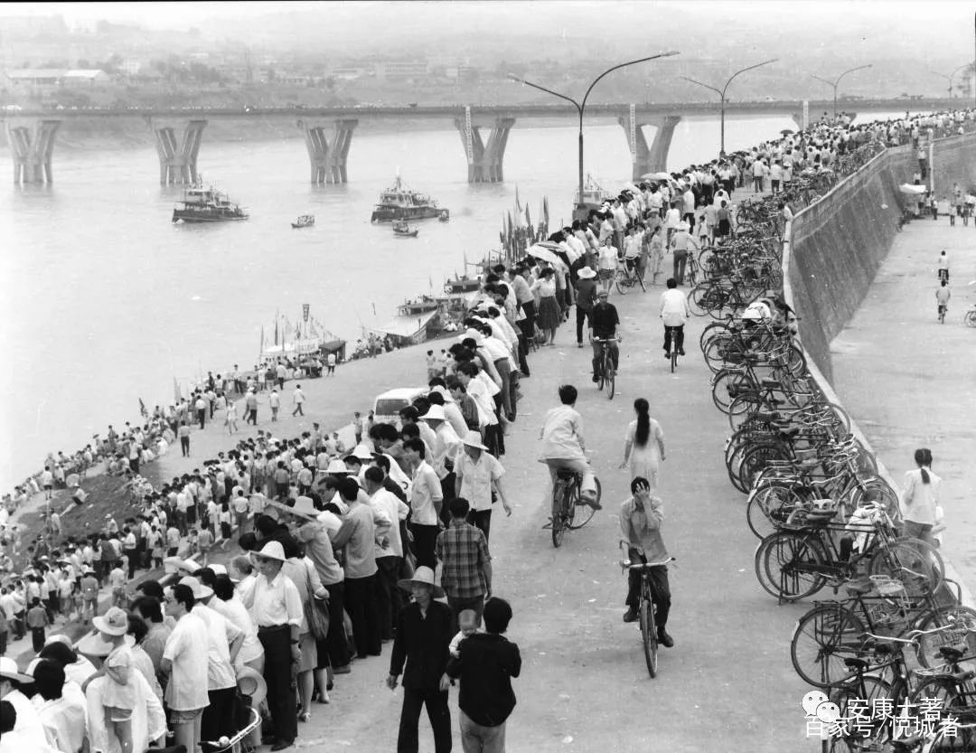 我拍龙舟三十年——吴定国(图24)