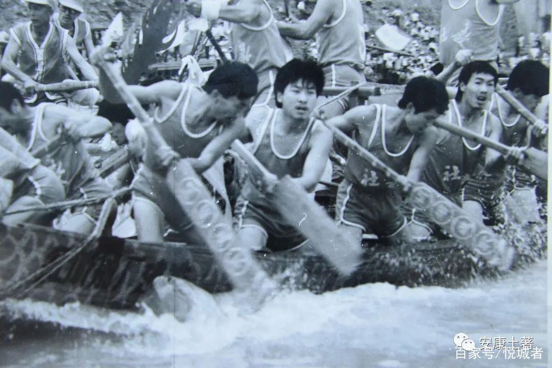 我拍龙舟三十年——吴定国(图22)