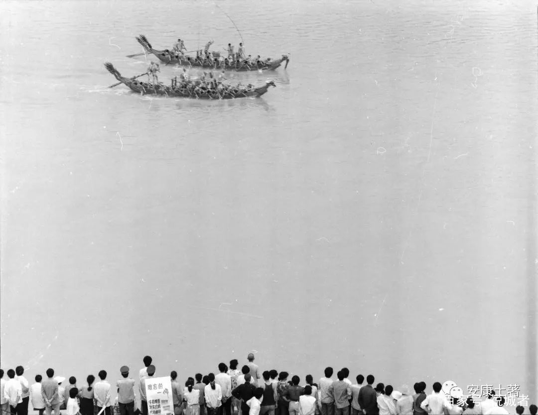 我拍龙舟三十年——吴定国(图25)