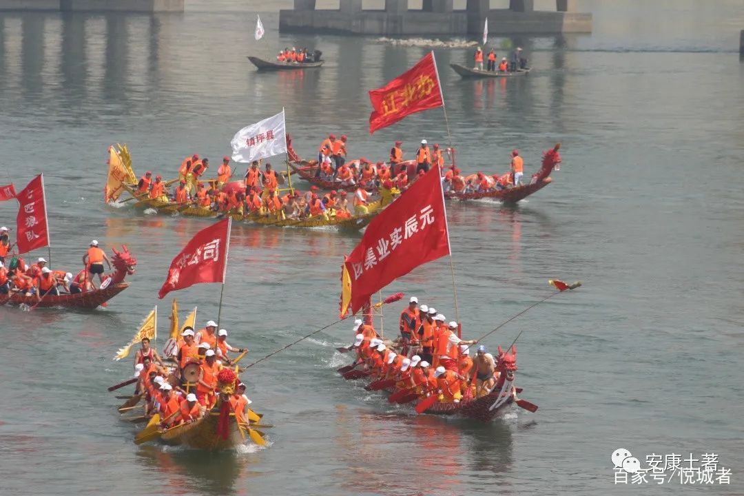 我拍龙舟三十年——吴定国(图36)