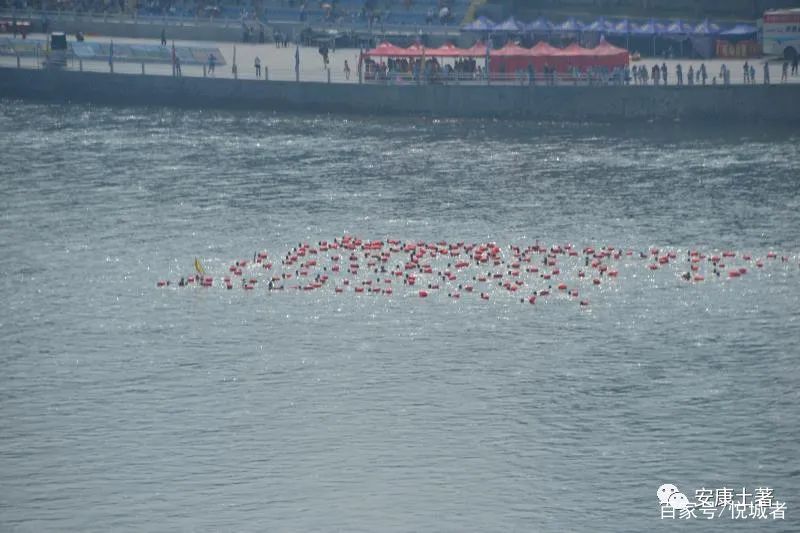 我拍龙舟三十年——吴定国(图38)