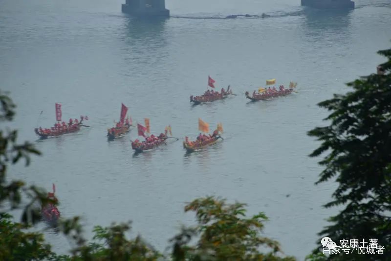 我拍龙舟三十年——吴定国(图39)