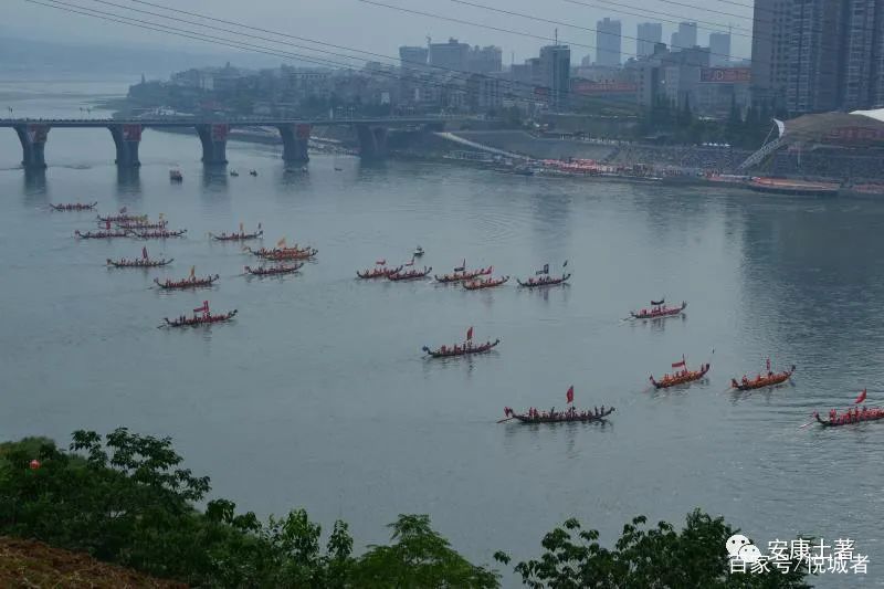 我拍龙舟三十年——吴定国(图40)