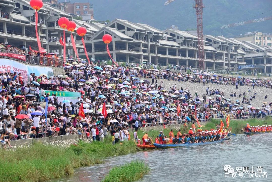 我拍龙舟三十年——吴定国(图45)