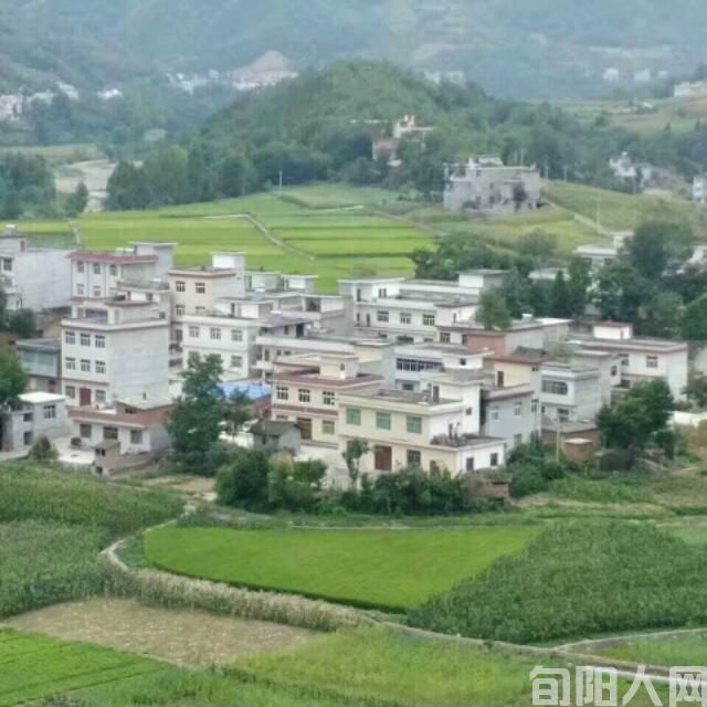 蜀河有个王子庄(图6)