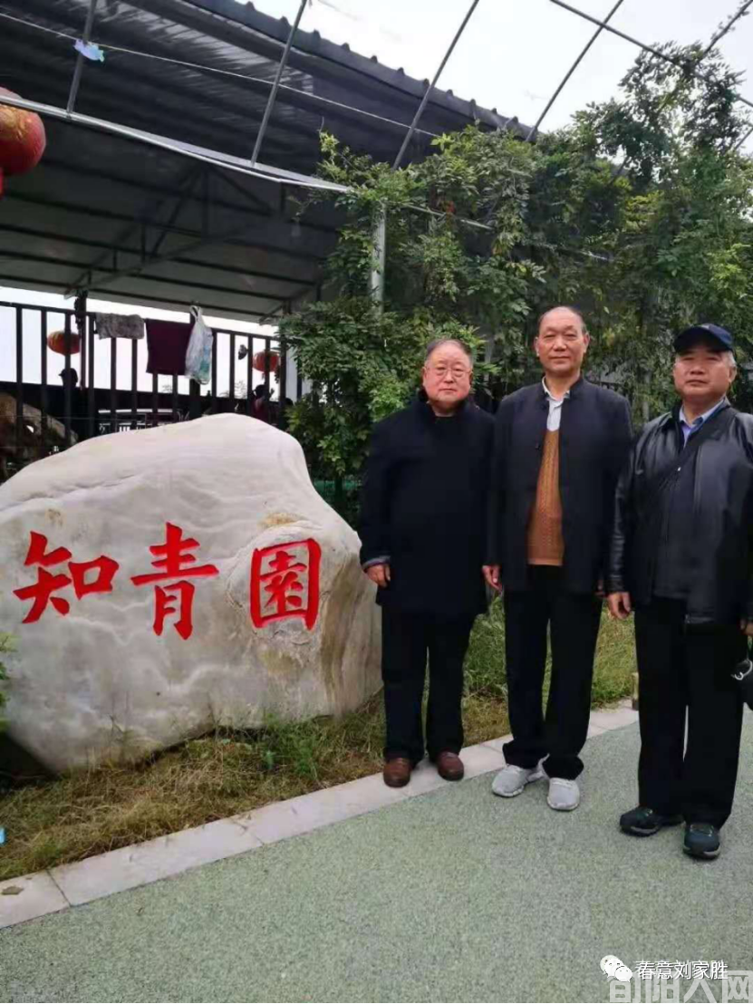 回不去的芳华   文/刘家胜