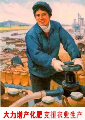 购化肥   文/刘家胜