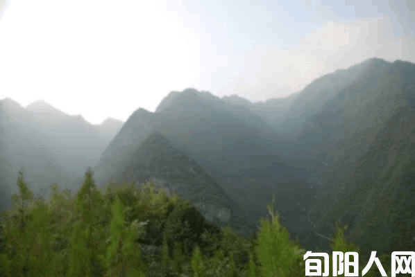 你老子打拳我栽桩（来自民间）                            文/任登庚