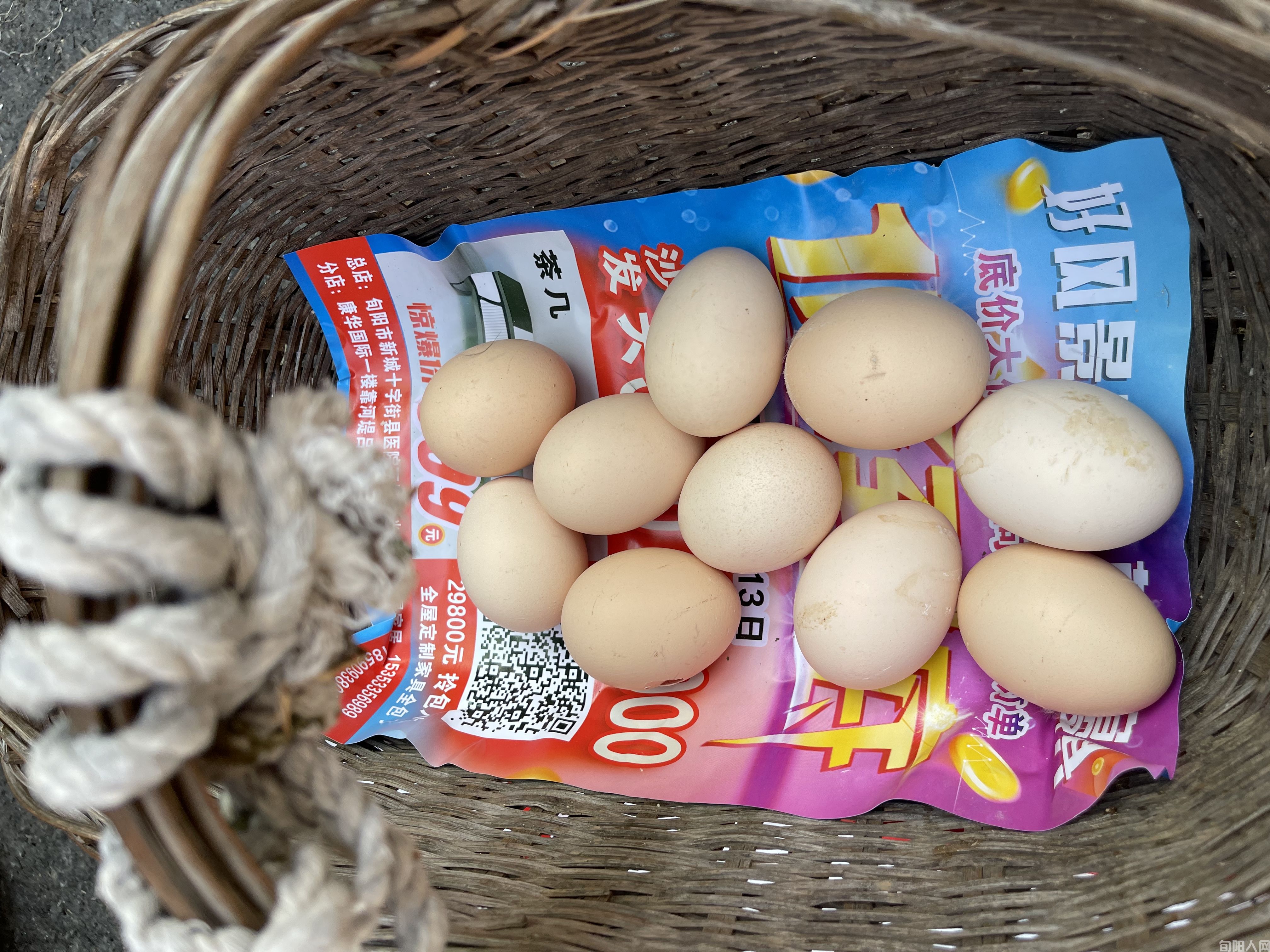 夏日,农贸市场里的身影(图3) 土鸡蛋10个15块钱.jpg