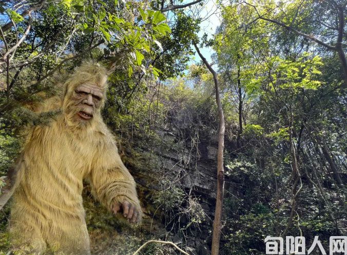 与野人共舞  文/鲁延河