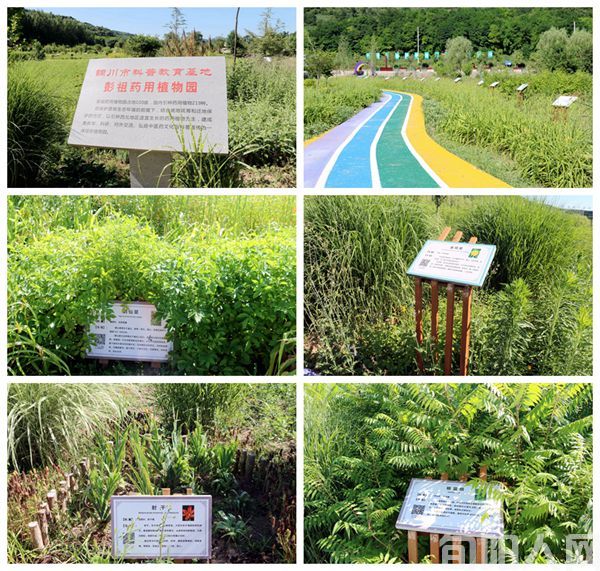 走进铜川宜君县彭祖药谷的中医药康养事业基地  ——绿色发展中国领先的典型代表