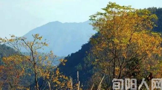 七绝：记忆中的墨香