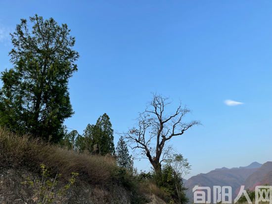 诗两首 文/刘家胜(图2) 秋.jpg