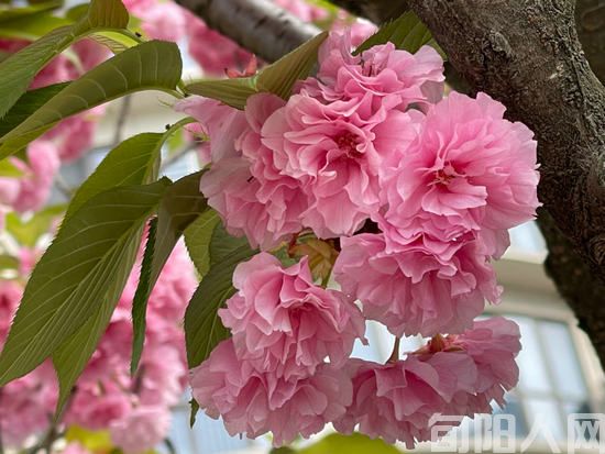 教师感言                                                                   文/雷琦瑞