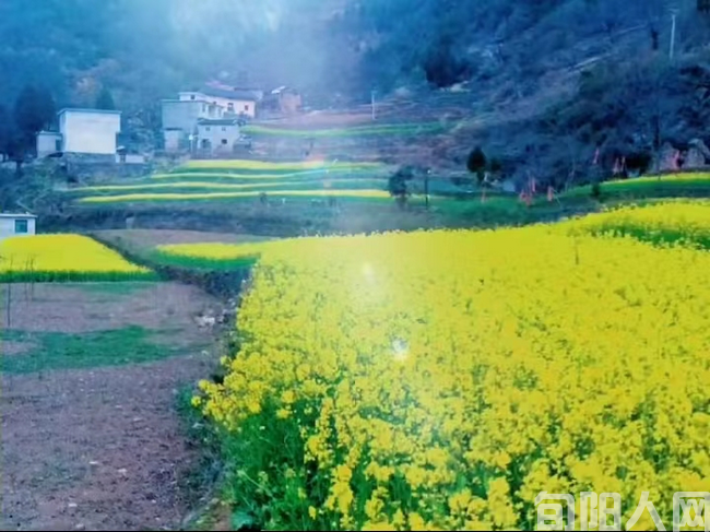 我的家乡 文/任玲波(图3) 003.png