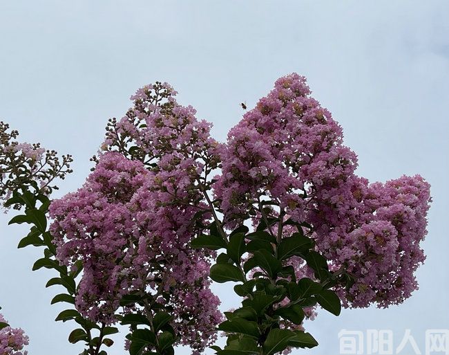 变老是常态 不老是心态 文/李向宝(图1) 秋天的景象02.jpg