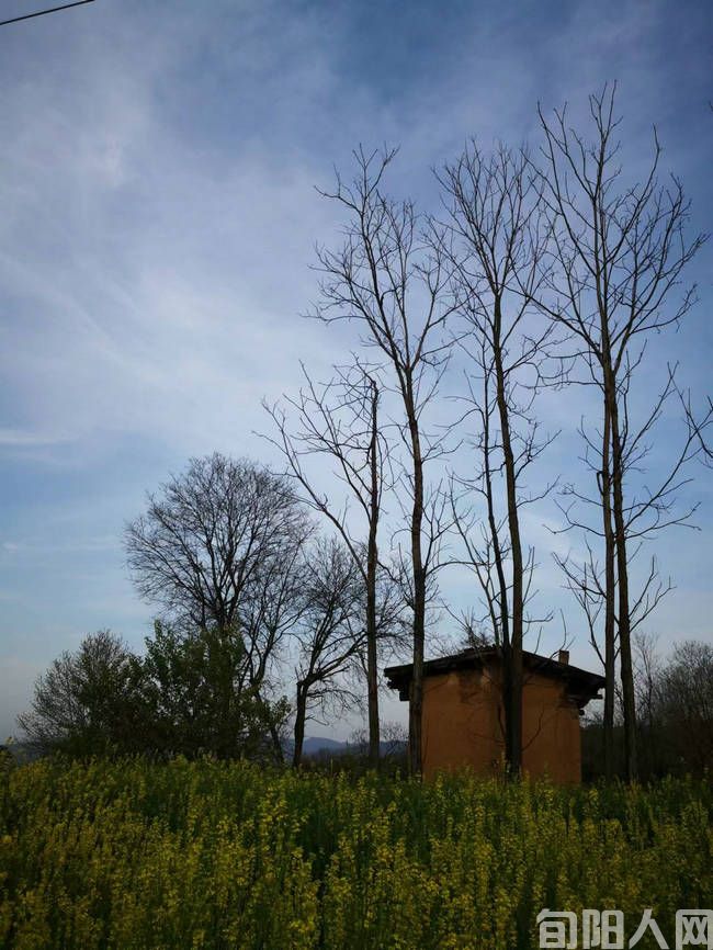 余婆的鬼抬轿                                     文/鲁延河