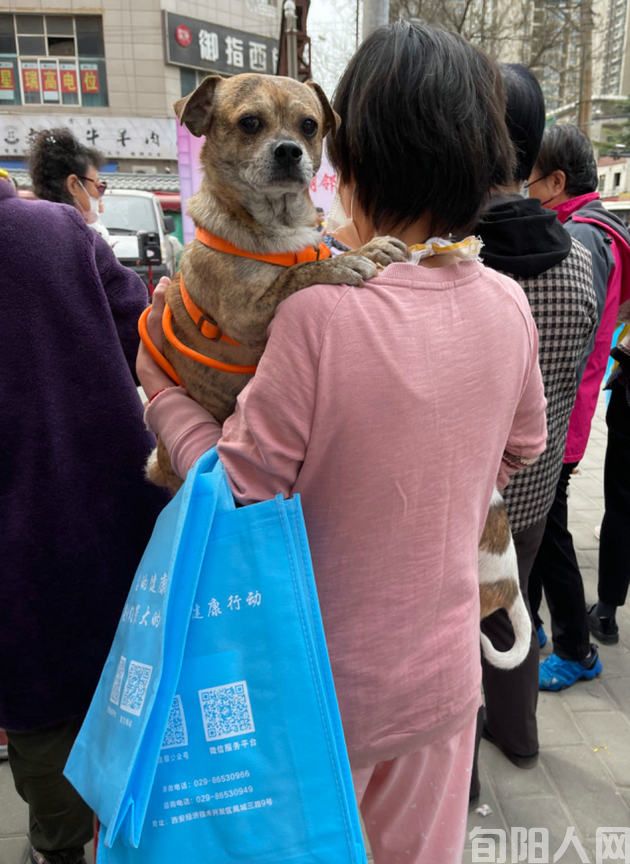 人宠狗,得分清人狗有别 文/王建安(图1) 人与狗.jpg