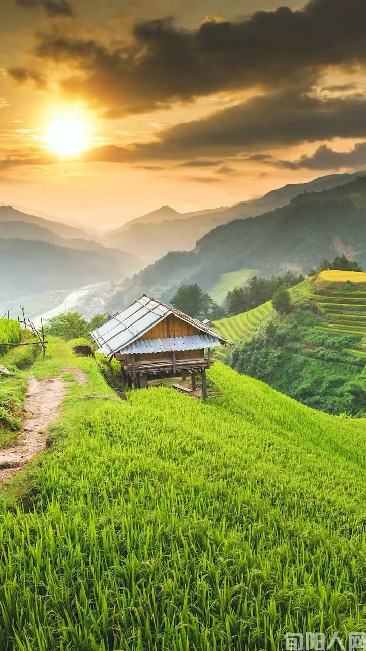 那些年那些人那些事 文/向维录(图2) 向2.jpg