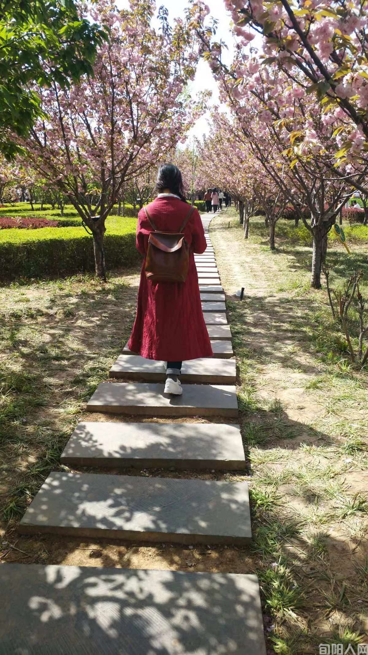 玉梅嫂            文/向维录