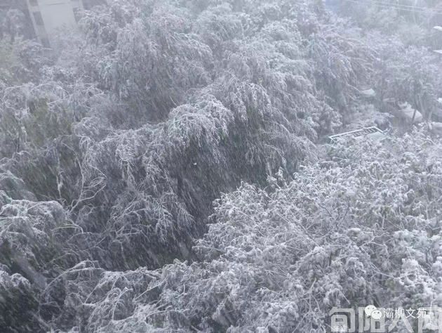 雪中静思                   文/初心
