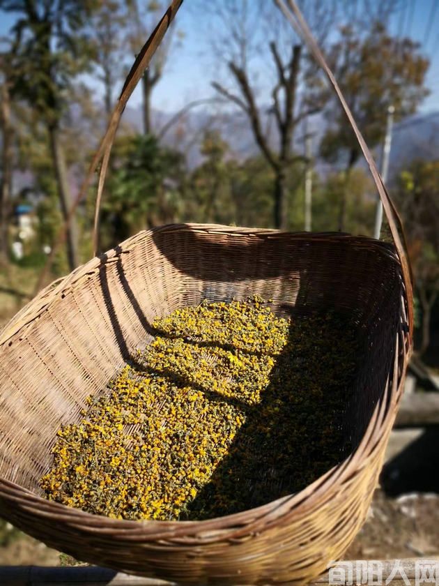 老庄老舍(纪实散文) 文/张志琴(图1) 农村.jpg