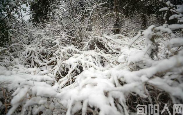 咏景三首        文/刘承印
