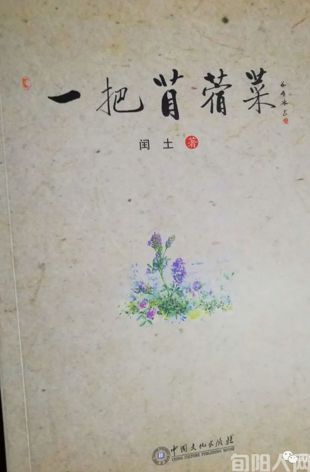 一位守护丁香的园丁 文/闰土(图2) 杨1.jpg