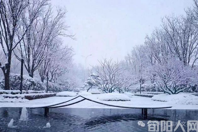 现代诗:柔情的雪 文/郝晓东(图1) 微信图片_20240117095942.jpg