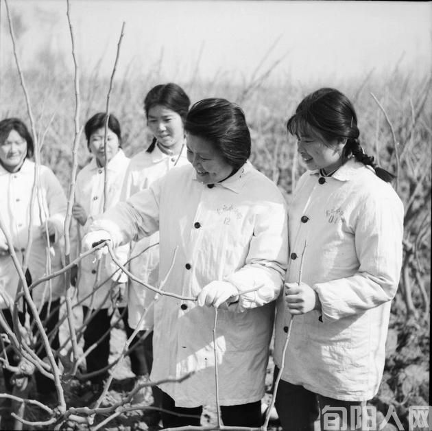 巾帼功臣        文图/吴定国