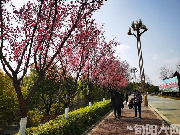 户外看春 文/赵攀强(图5) 5.jpg