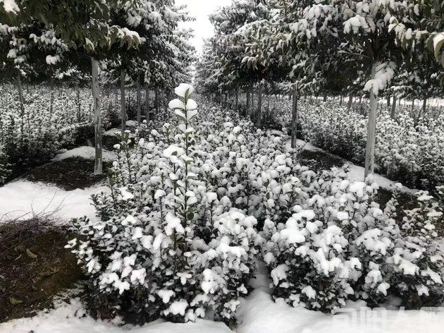 黑娃（连载）（四）一锅好饭  文/闰土