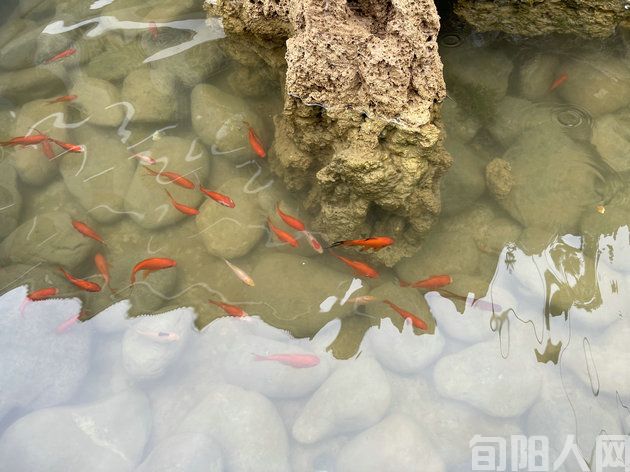 春山登高新韵二首 文/刘承印(图1) 微信图片_20240316131731.jpg