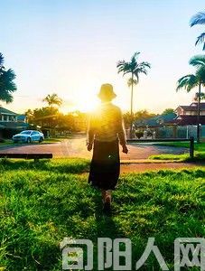 凤  姐   文/向维录