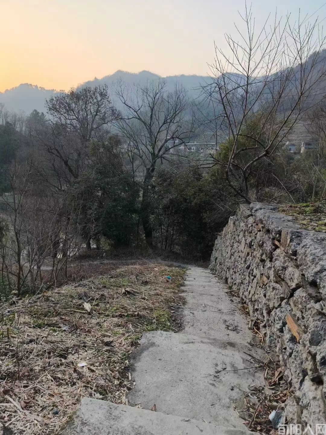 新年二题    文/王庭德