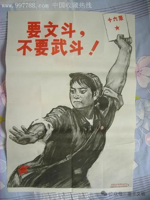 我的往事（26）：武斗平息   文/李康平